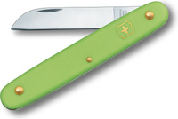 Zielony